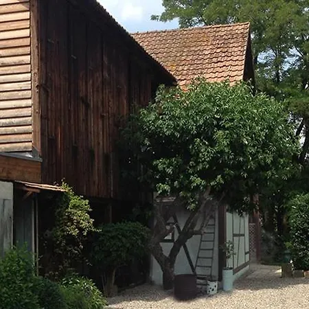 Ferienwohnung Le Sechoir Du Ried Rossfeld Exterior foto