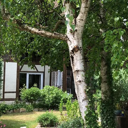 Ferienwohnung Le Sechoir Du Ried Rossfeld Exterior foto
