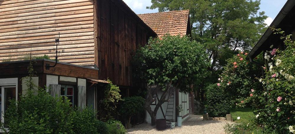 Le Sechoir Du Ried Apartment