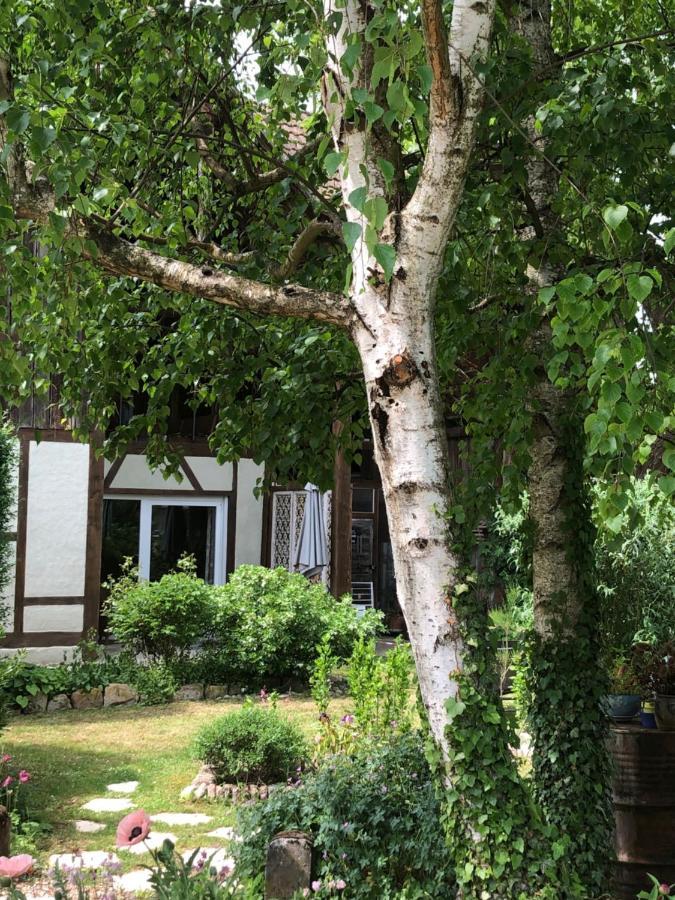 Apartment Le Sechoir Du Ried